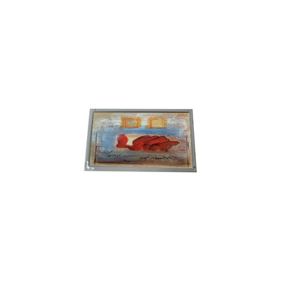 قیمت خوب فروش گرم 800*480 AM-800480S5LMQW-00 7.0 اینچ 1000: 1 صفحه LCD آنلاین