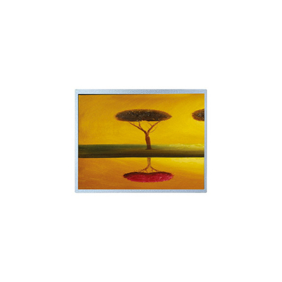 قیمت خوب صفحه نمایش LCD اصلی 1024*600 AM-1024600L6TZQW-T03H آنلاین