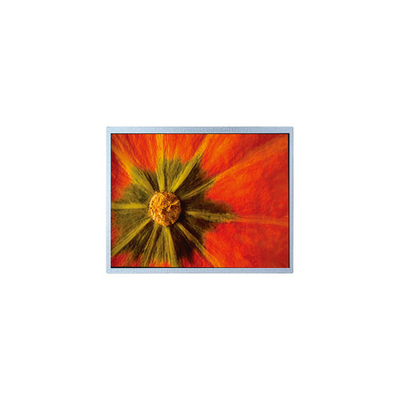 قیمت خوب صفحه LCD اصلی 1024*600 AM-1024600LTMQW-T05H-A آنلاین