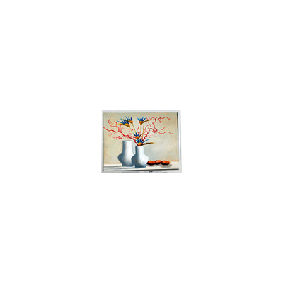قیمت خوب ماژول صفحه نمایش LCD 5.2-اینچی DMF5010NB-FW-BC 400 cd/m2 آنلاین