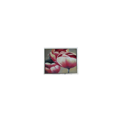 قیمت خوب صفحه LCD اصلی ۲۴۰*۶۴ DMF5010NF-FW-BE ۵.۲ اینچ ۷۰ هرتز آنلاین