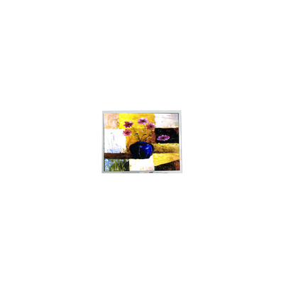 قیمت خوب فروش داغ 9.4 اینچ DMF50260NF-FW-18 640*480 15 پین صفحه LCD آنلاین