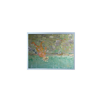 قیمت خوب صفحه نمایش LCD 9.4 اینچی جدید F-51430NFU-FW-AEN 640*480 15 پین آنلاین