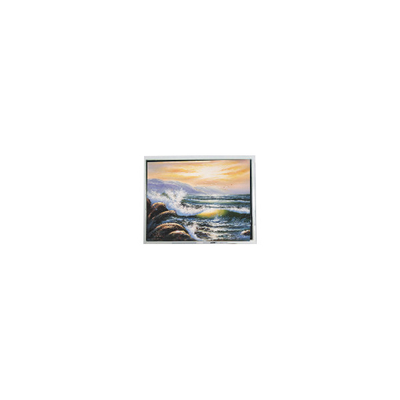 قیمت خوب T-51991GD015-MLW-AIN MiNi 1.46 اینچ صفحه نمایش LCD برای تلفن همراه آنلاین