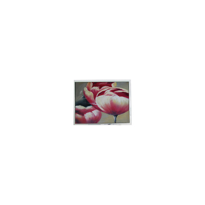قیمت خوب ت-55548GD057JU-LW-AAN 5.7 اینچ 262K قطعات صفحه LCD آنلاین