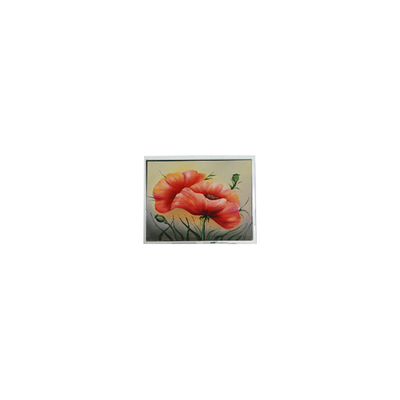 قیمت خوب T-55548GD057JU-LW-ACN پانل صفحه LCD 5.7 اینچی آنلاین