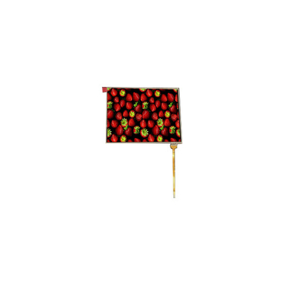 قیمت خوب جدید 7.0 اینچ TM070RBH10-40 LCD Screen lcd برای قاب عکس دیجیتال آنلاین