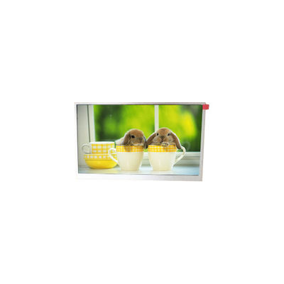 قیمت خوب TM090RDSG06 9.0 اینچ 800*480 WLED صفحه نمایش LCD آنلاین