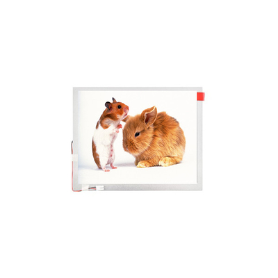 قیمت خوب 10.1 اینچ TM101JVHG44-00 LVDS TFT-LCD پانل صفحه نمایش صفحه نمایش LCD آنلاین