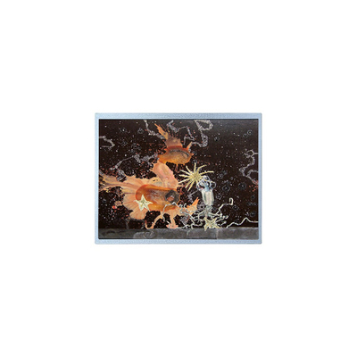 قیمت خوب 12.1 اینچ P1210WXF1MA00 1280*800 پانل LCD TFT WLED آنلاین