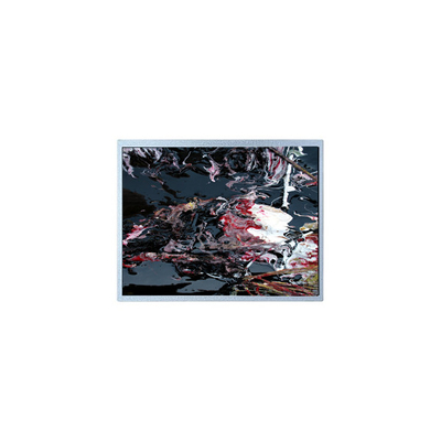 قیمت خوب P1210WXF1MA01 12.1 اینچ LVDS ماژول پانل LCD TFT آنلاین