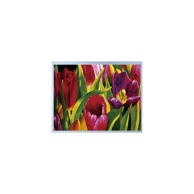 قیمت خوب کیفیت بالا 14.0 اینچ P1400FHF1MA00 پانل صفحه LCD TFT آنلاین