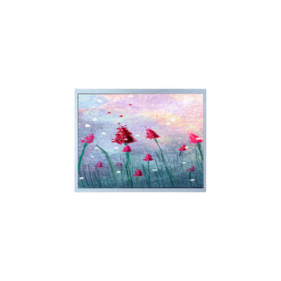 قیمت خوب P1900SXF1MA00 19.0 اینچ مانیتور LCD TFT برای تصویربرداری پزشکی آنلاین