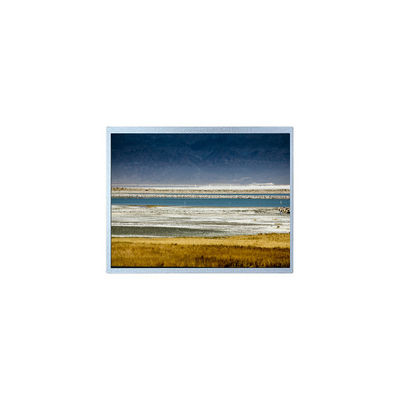 قیمت خوب 10.1 اینچ HSD101GWW5-A00-0220 1280*800 ماژول صفحه نمایش LCD آنلاین