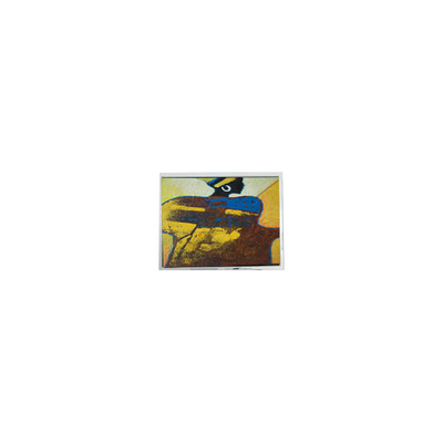 قیمت خوب فروش داغ 800*480 ET070001DM6 7.0 اینچ WLED صفحه نمایش LCD قطعات آنلاین