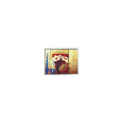 قیمت خوب در انبار 4.7 اینچ 320*240 EW50855FLW صفحه نمایش LCD برای صنعتی آنلاین