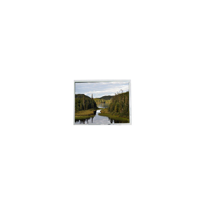 قیمت خوب صفحه نمایش LCD مینی 4.1 اینچی COM41H4M31XLC 320*240 262K آنلاین