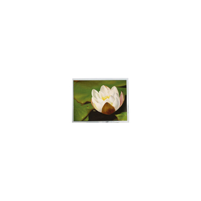 قیمت خوب 640*480 5.7 اینچ COM57H5M87KTC 262K صفحه نمایش لمسی ال سی دی 60 هرتز آنلاین
