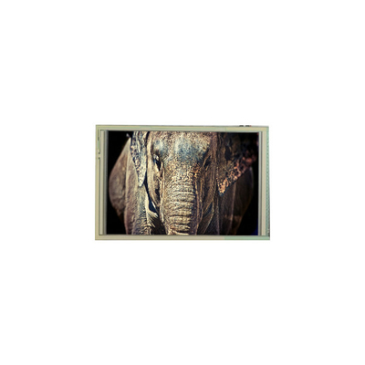 قیمت خوب C555002 7.5 اینچ 640*480 LCD صفحه لمسی آنلاین