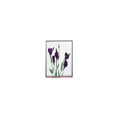 قیمت خوب صفحه نمایش LCD با کیفیت بالا 5.8 اینچ C058GWW1-0 برای پروژکتور آنلاین