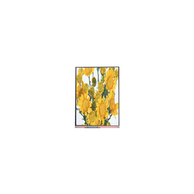 قیمت خوب C070SWP1 7.0 اینچ پانل صفحه نمایش LCD TFT برای قاب عکس دیجیتال آنلاین