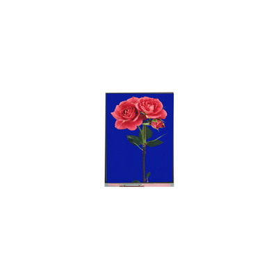 قیمت خوب 800*1280 C080SWW3-1 8.0 اینچ صفحه نمایش LCD TFT برای پد آنلاین