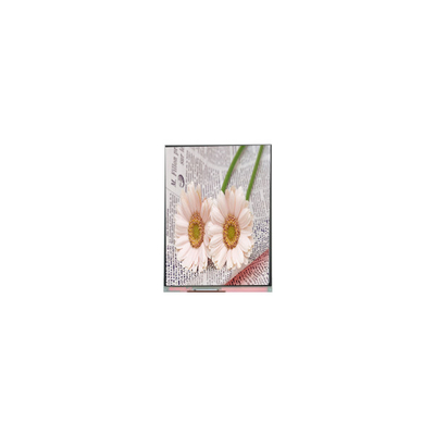 قیمت خوب C084GNS1-1 800*600 8.4 اینچ صفحه نمایش LCD TFT برای صنعتی آنلاین