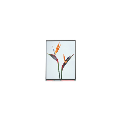 قیمت خوب 9.0 اینچ C090NWP1 R0 800 * 480 صفحه نمایش LCD TFT آنلاین