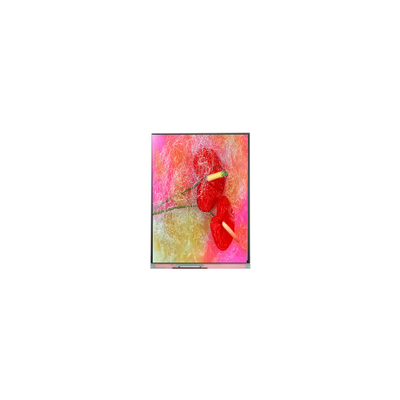 قیمت خوب صفحه اصلی 9.0 اینچ 800*480 C090NWP1 R1 16.7M صفحه نمایش LCD TFT آنلاین