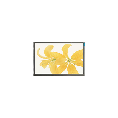 قیمت خوب 10.4 اینچ LPM104GNX1 R1 TFT LVDS 262K مانیتور صفحه LCD آنلاین