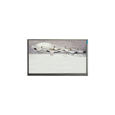 قیمت خوب P101GWWF R2 10.1 اینچ 1280*800 صفحه نمایش LCD برای پد آنلاین