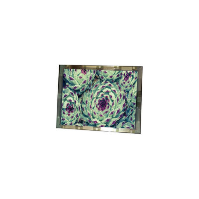 قیمت خوب 276*128 EL4836HB-ICE 6.3 اینچ 110 cd/m2 صفحه نمایش LCD آنلاین