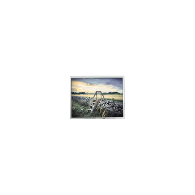 قیمت خوب 5.6 اینچ FG050600ANCWAG02 320 * 234 صفحه LCD برای پخش کننده DVD قابل حمل آنلاین