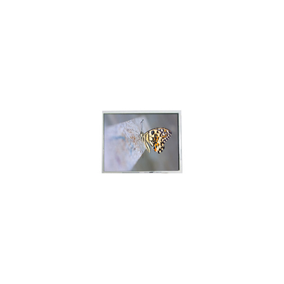 قیمت خوب FG050722DSSWDGL2 640*480 5.7 اینچ 20 پین قطعات صفحه LCD آنلاین