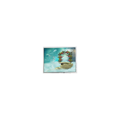 قیمت خوب TFT1N5918 6.9 اینچ 800*480 LVDS صفحه نمایش LCD مانیتور آنلاین