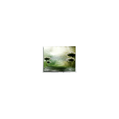 قیمت خوب 10صفحه LCD 4 اینچی TFT1P1799-E 960*1280 برای خودرو آنلاین