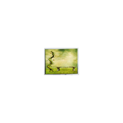 قیمت خوب اصلی 7.0 اینچ TFT7D0179 600*1024 16.7M صفحه LCD صفحه LCD آنلاین