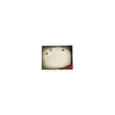 قیمت خوب TFT9D6672 6.9 اینچ 800*480 600:1 قطعات ماژول صفحه LCD آنلاین