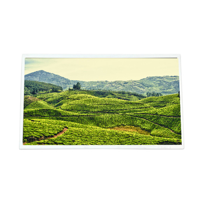 قیمت خوب صفحه LCD اصلی 12.3 اینچی QV123FHM-N15 برای خودرو آنلاین