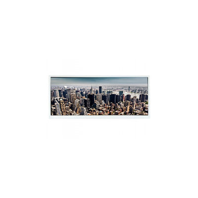 قیمت خوب JJ103IA-12A 10.3 اینچ 50 پین WLED صفحه نمایش LCD ماژول صفحه نمایش آنلاین