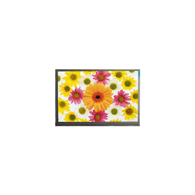 قیمت خوب M123AWF2 R1 1920*720 12.3 اینچ 50 پین صفحه نمایش LCD مانیتور جدید آنلاین