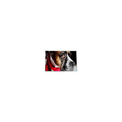 قیمت خوب C059VTN01.0 5.9 اینچ 1150*400 LVDS صفحه نمایش LCD برای خودرو آنلاین