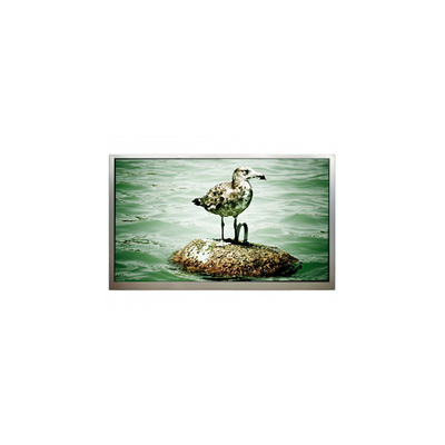 قیمت خوب 1920*1080 32.0 اینچ PT320CT01-2 LVDS صفحه نمایش LCD صفحه نمایش LCD آنلاین