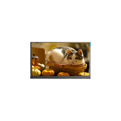 قیمت خوب N140BGE-P23 14.0 اینچ 60Hz 262K صفحه نمایش صفحه نمایش LCD آنلاین