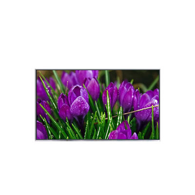 قیمت خوب B116HAT01.0 11.6 اینچ صفحه اصلی LCD لپ تاپ آنلاین