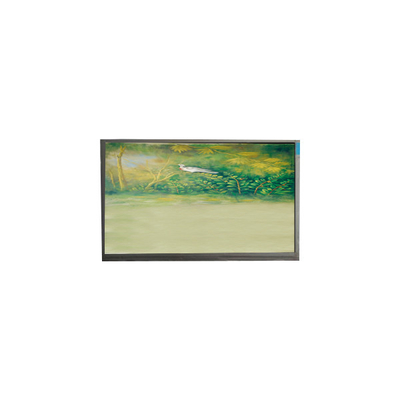 قیمت خوب U062SWR6-0 6.2 اینچ 720*1600 صفحه نمایش LCD برای تلفن همراه آنلاین