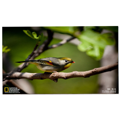 قیمت خوب 24.0 اینچ 1920*1200 M240UAN02.1 صفحه نمایش LCD سلول آنلاین