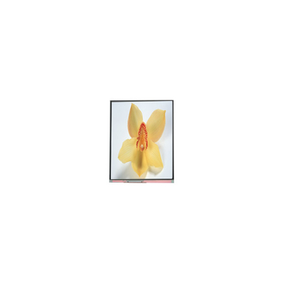 قیمت خوب C050SWAN-0 5.0 اینچ 720*1280 صفحه نمایش LCD آنلاین