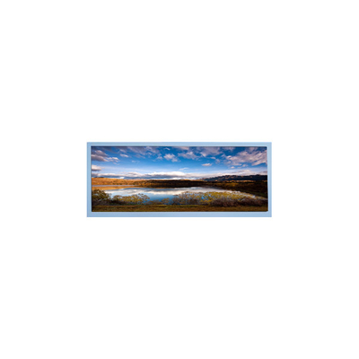 قیمت خوب M102AWF2 R3 صفحه LCD 10.3 اینچی پانل LCD TFT برای نمایش خودرو آنلاین