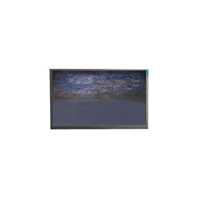 قیمت خوب U055SWRA-1 پانل صفحه نمایش LCD 5.5 اینچی 720*1440 ماژول نمایش LCD آنلاین
